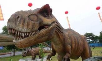 恐龙模型新品爆料视频大全,视频大全带你领略史前巨兽风采  第3张